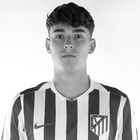 Raúl Girona de la Fuente